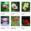 2024 Desk Calendar - Blossoms - Floral Pictures