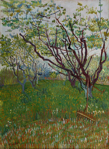 Flowering Orchard - Vincent van Gogh - Painting - Life Size Posters by Vincent Van Gogh