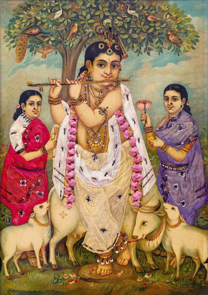 Sri Venugopal Krishna - C G Ramanujam -  Ravi Varma Press Oleograph Print - Indian Painting - Life Size Posters