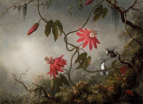Heade Passion Flowers - Canvas Prints by Sina Irani
