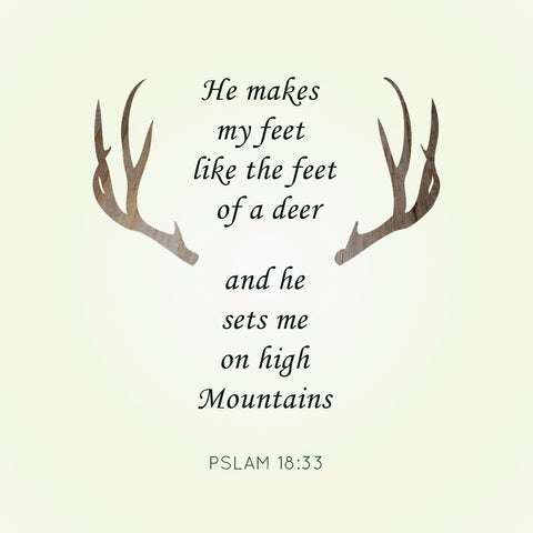 Psalms Deer Quote - Canvas Prints by Sina Irani