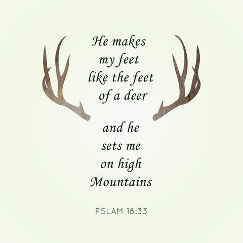 Psalms Deer Quote by Sina Irani