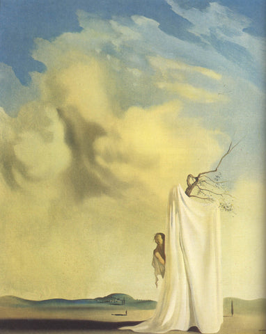 Figure And Drapery In A Landscape by Salvador Dali