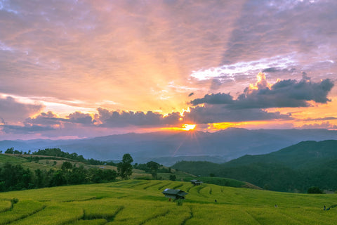 Sunset At The Rice Terrace by Shane WP