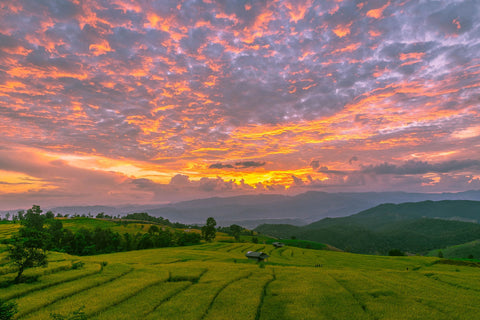 Sunset At The Rice Terrace by Shane WP