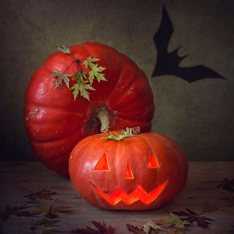 Halloween - Canvas Prints by Iryna Prykhodzka
