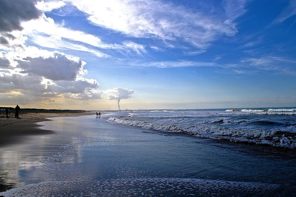 Seascape - Life Size Posters