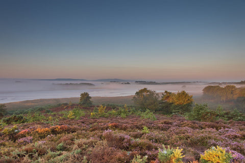 Autumn Dawn 3 - Canvas Prints by Peter Garner