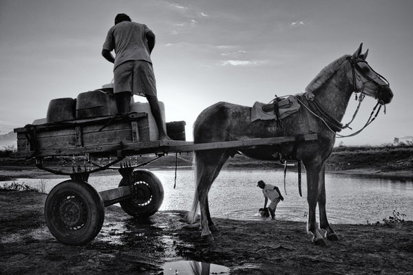 Regret The Drought - Framed Prints