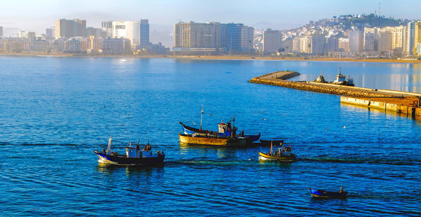 Sunrise - Life Size Posters