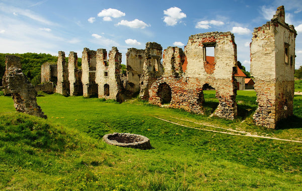 Ruins Castle Zviretice - Canvas Prints