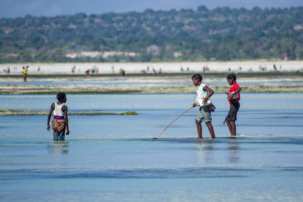 Baby Fishermen - Framed Prints