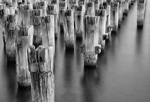 Princess Pier - Framed Prints