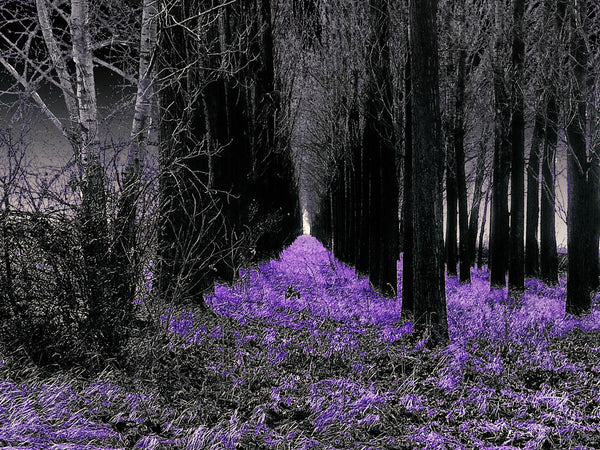 Country - Life Size Posters