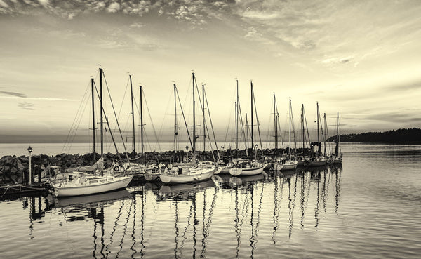 Sailboats At Crack Of Dawn - Canvas Prints