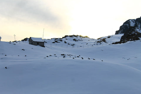 Snow Light - Framed Prints