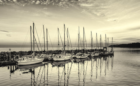 Sailboats At Crack Of Dawn