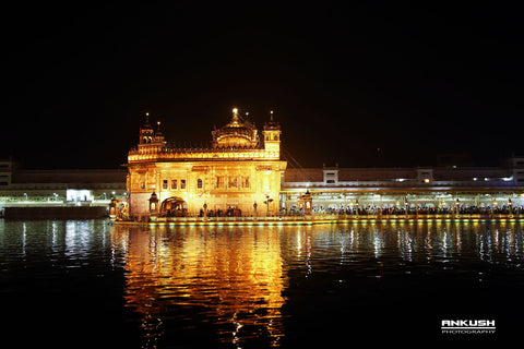 Nature Photography - Large Art Prints