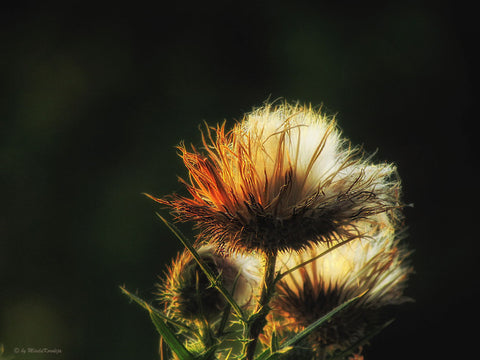 Leaving - Life Size Posters by Jill