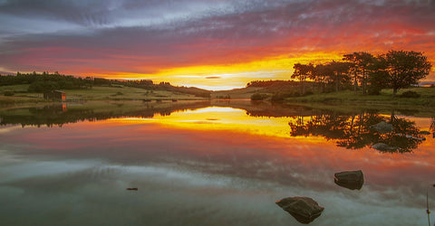 Morning Glow - Canvas Prints