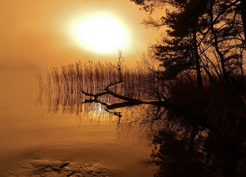 Early Morning - Canvas Prints