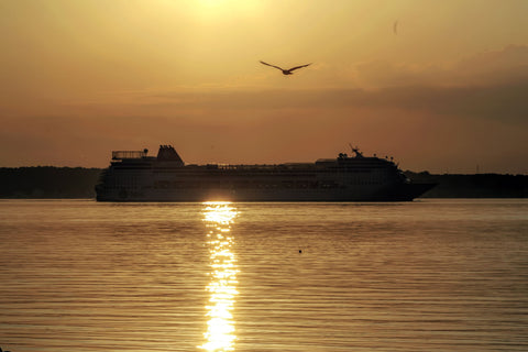 Cruise Ship Enter The Sound Between Denmark And Sweden by Loethen