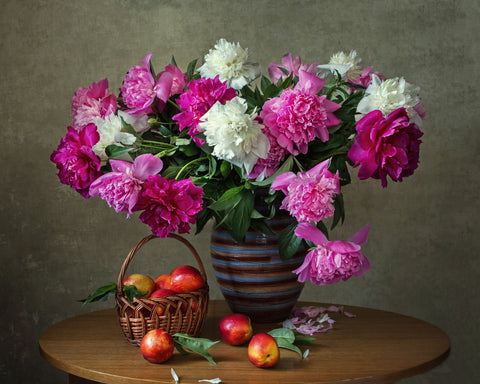 Still Life With Peonies And Peaches by Iryna Prykhodzka