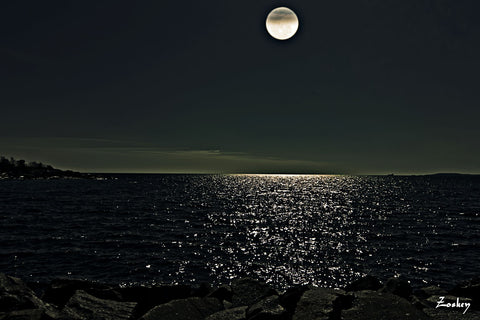 Moonshadowdenna - Framed Prints