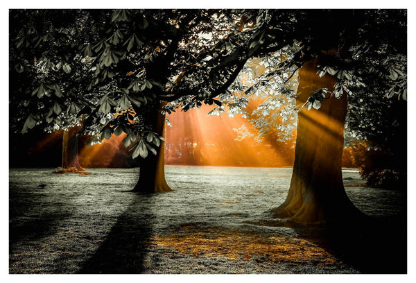 Daywalker - Framed Prints