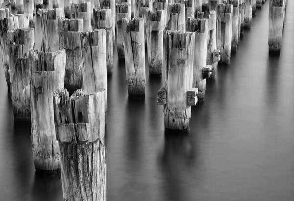 Princess Pier - Canvas Prints