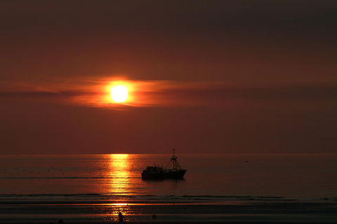 Sun Down by Alain Dewint