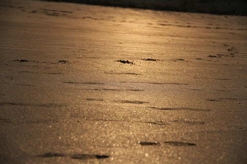 Golden Sand by Amit Kulkarni