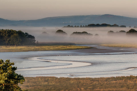 Autumn Dawn 2 - Canvas Prints by Peter Garner