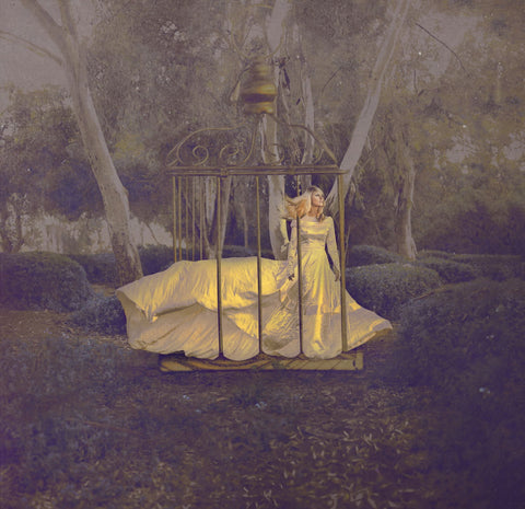 The Fantasy Of Flight