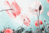 Coquelicot Love 2 - Large Art Prints