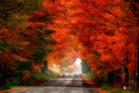 L'incertitude - Canvas Prints