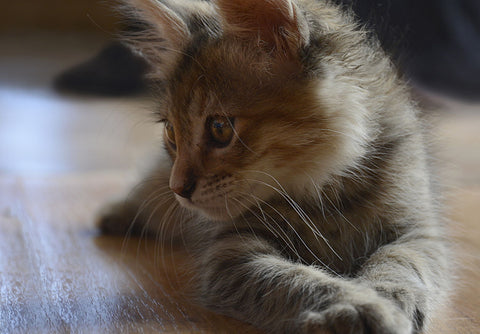 My Little Dear!!!! - Life Size Posters