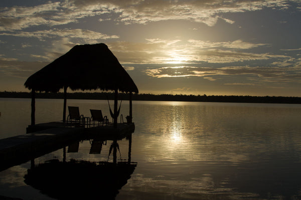 Golden Reflections - Life Size Posters