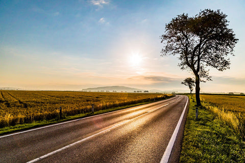 Street by Christoph Reiter