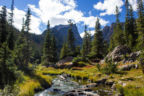 Dream Lake by Rob Morton