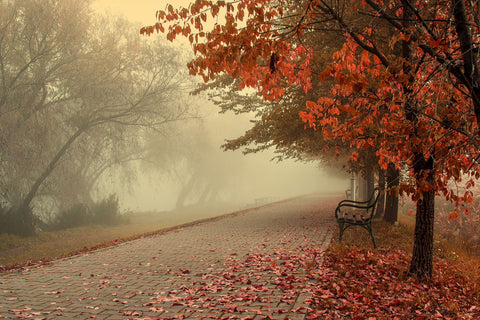 This Morning - Framed Prints by NeNaNa