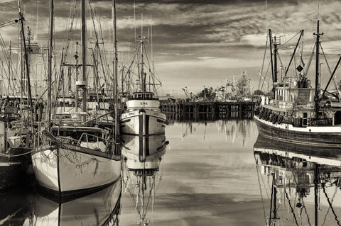 Fishing Boats At Dock - Large Art Prints
