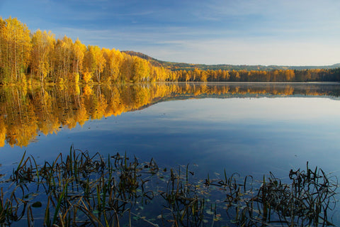 Autumn Swallow Lake by Petr Germani?