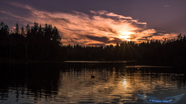 Sunrise - Framed Prints