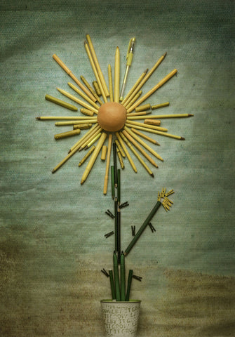 Sunflower - Canvas Prints by Tomás Llamas Quintas