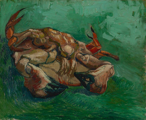 A Crab On Its Back - Canvas Prints by Vincent Van Gogh