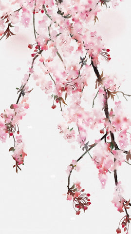 Cherry Blossoms In Bloom – Contemporary Japanese Floral Painting by James