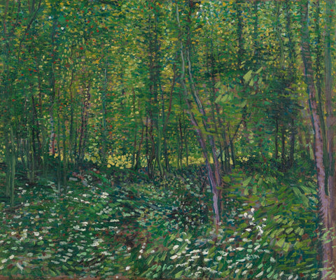 Trees and Undergrowth by Vincent Van Gogh