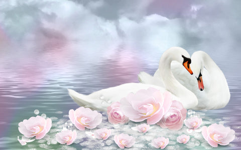 Valentines Day Gift - Swan Romance by Sina Irani