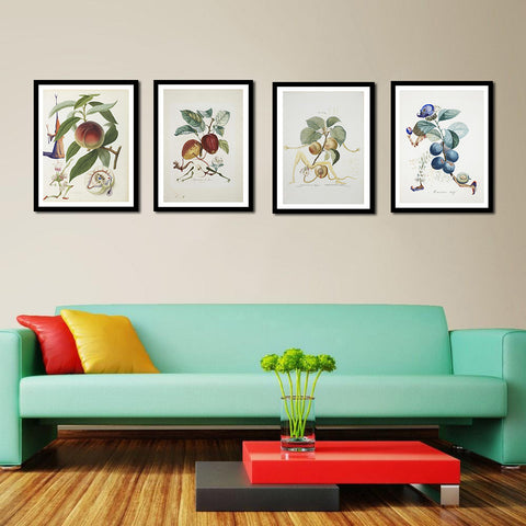 Set Of 4 Fruit Series Paintings By Salvador Dali - Premium Quality Framed Digital Print (19 x 24 inches) by Salvador Dali